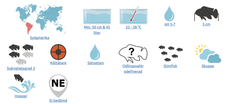 Carnegiella myersi Dvärgbilbuk