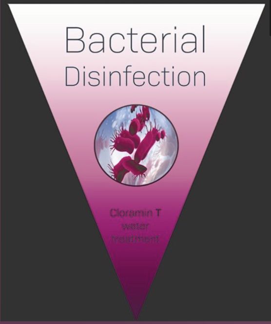 Huvudbild Bacterial Disinfection v1.0 cloramin-t  150 gram
