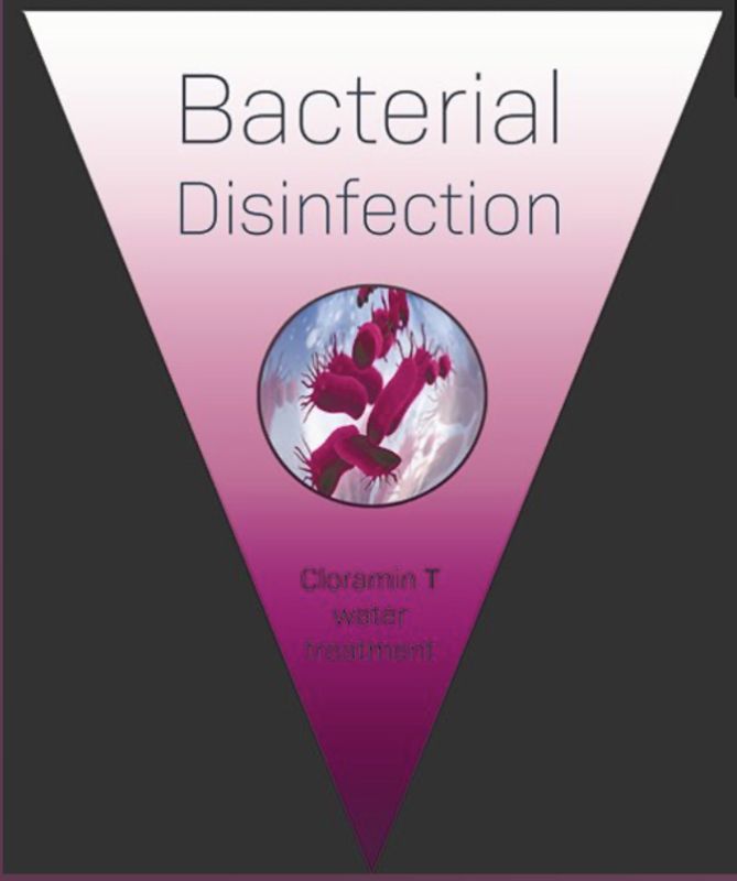 Bacterial Disinfection v1.0 cloramin-t  150 gram