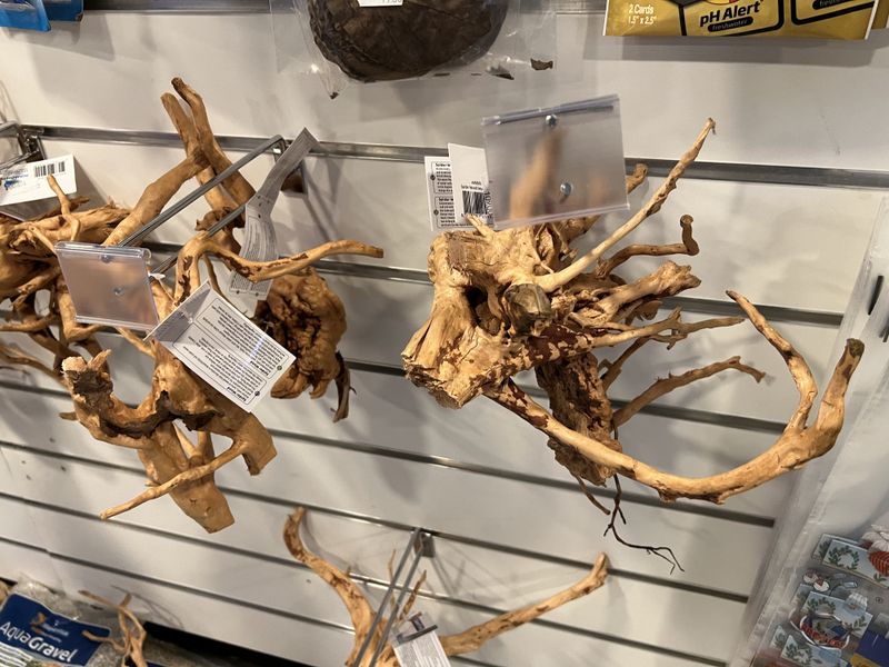 SPIDER WOOD S