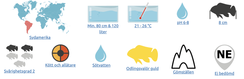 HUMLA MAL COLOMBIA VF