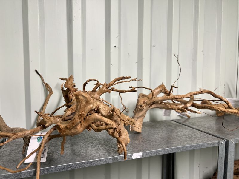 SPIDER WOOD M