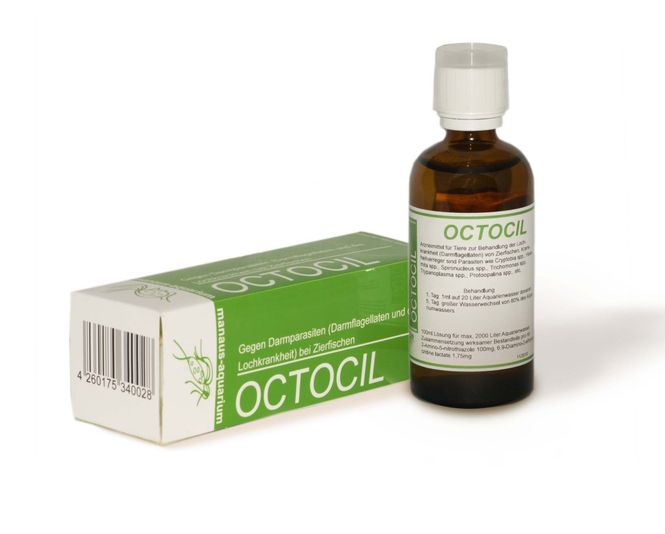 Huvudbild OCTOCIL